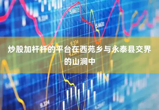炒股加杆杆的平台在西苑乡与永泰县交界的山涧中