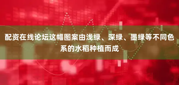 配资在线论坛这幅图案由浅绿、深绿、墨绿等不同色系的水稻种植而成