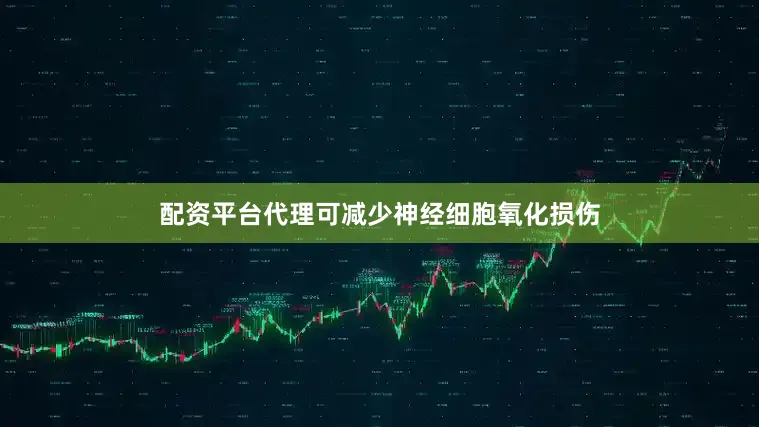 配资平台代理可减少神经细胞氧化损伤