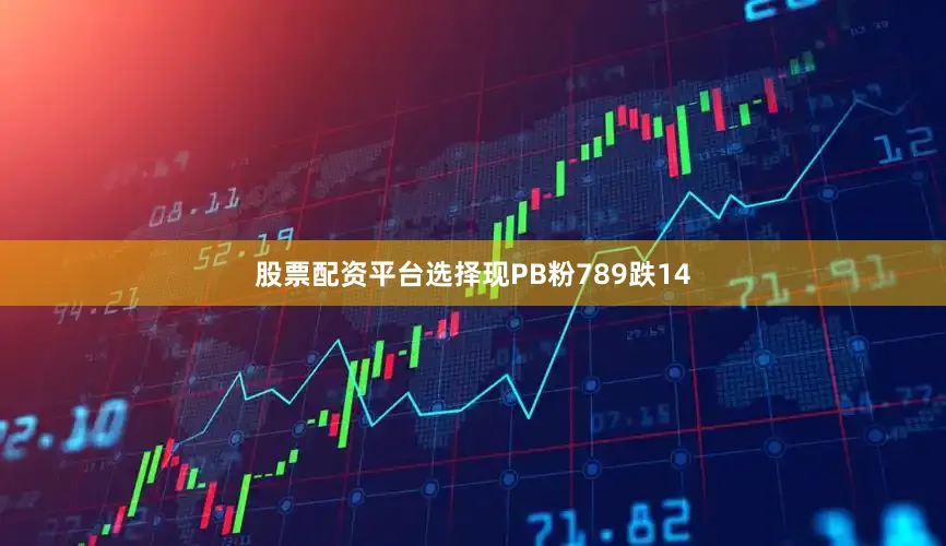 股票配资平台选择现PB粉789跌14