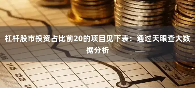杠杆股市投资占比前20的项目见下表：通过天眼查大数据分析
