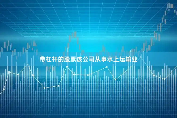 带杠杆的股票该公司从事水上运输业